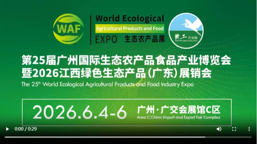 Exhibition Video